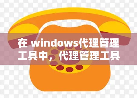在 windows代理管理工具中，代理管理工具是用于管理Windows代理服务器的软件，它们在网络服务提供、文件传输、远程控制等领域发挥重要作用。以下是对这些工具的详细分析和总结