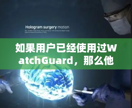 如果用户已经使用过WatchGuard，那么他们可能已经了解其功能和优势。以下是关于VPN替代方案以及品牌比较的建议，帮助用户找到一个适合他们需求的解决方案