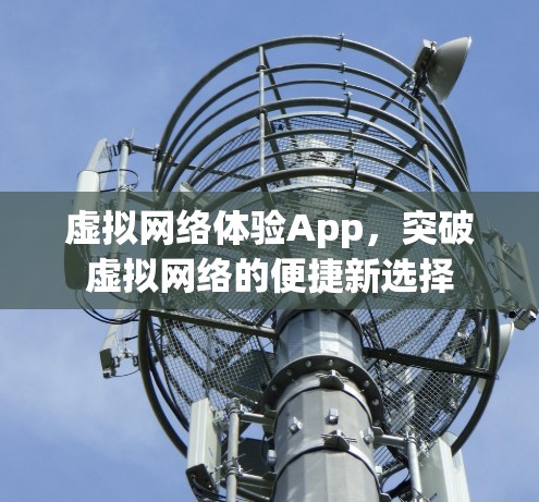 虚拟网络体验App,突破虚拟网络的便捷新选择 虚拟网络体验App,突破虚拟网络的便捷新选择