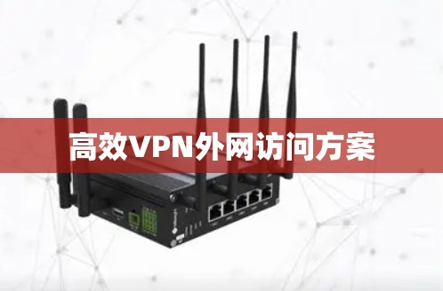 高效VPN外网访问方案 高效VPN外网访问方案