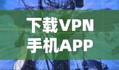 下载VPN手机APP是一个安全且实用的步骤,以下是一些步骤指南,帮助你顺利下载并使用VPN服务 下载VPN手机APP是一个安全且实用的步骤,以下是一些步骤指南,帮助你顺利下载并使用VPN服务