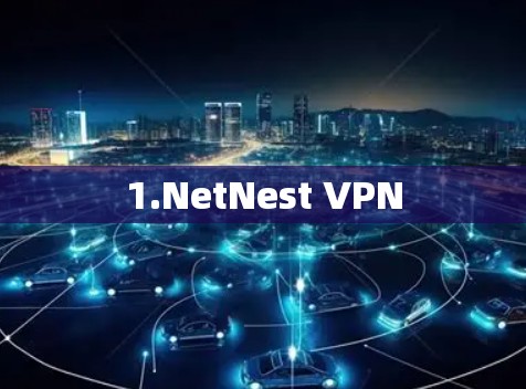 1.NetNest VPN