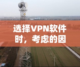选择VPN软件时，考虑的因素包括加密类型、多设备支持、安全性、价格、用户评价以及个人需求。以下是对这些因素的详细分析和推荐