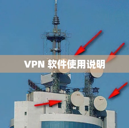 VPN 软件使用说明 VPN 软件使用说明