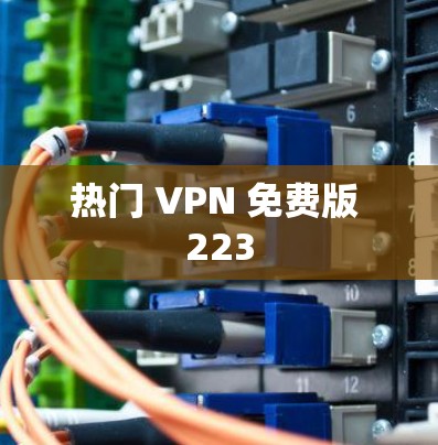 热门 VPN 免费版 223 热门 VPN 免费版 223