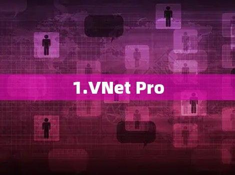 1.VNet Pro 1.VNet Pro