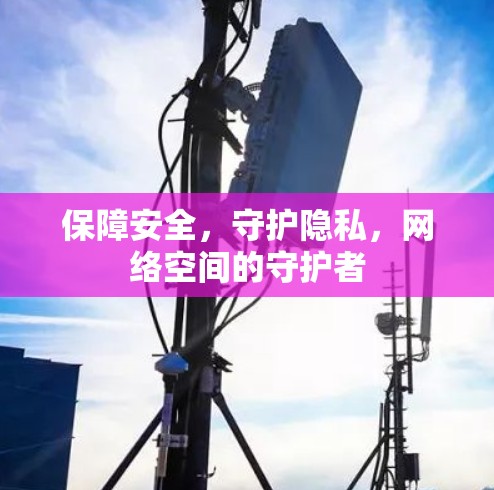 保障安全,守护隐私,网络空间的守护者 保障安全,守护隐私,网络空间的守护者