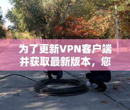 为了更新VPN客户端并获取最新版本，您可以按照以下步骤操作