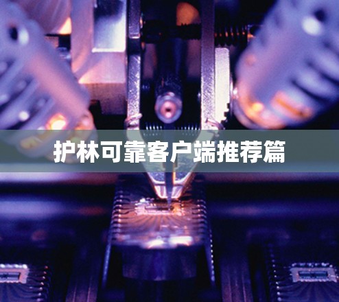 护林可靠客户端推荐篇