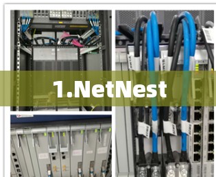 1.NetNest 1.NetNest