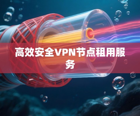 高效安全VPN节点租用服务 高效安全VPN节点租用服务