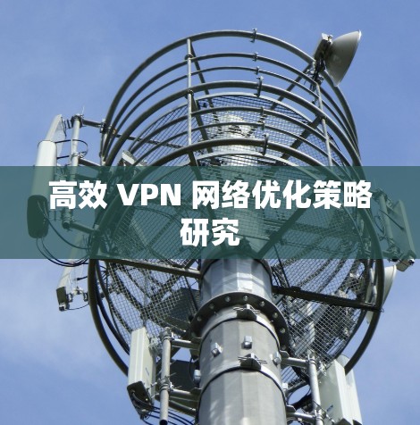 高效 VPN 网络优化策略研究 高效 VPN 网络优化策略研究