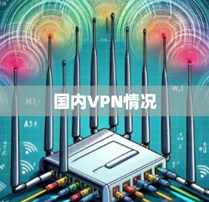 国内VPN情况 国内VPN情况